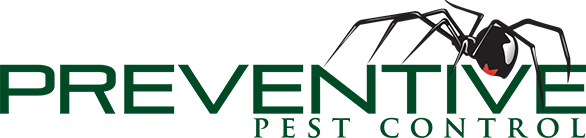 Pest Control Colchester