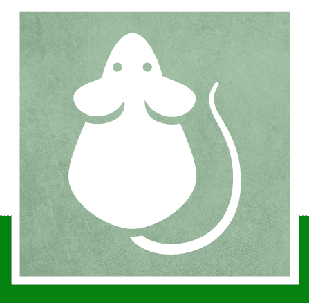 Rodents