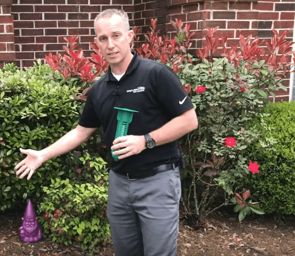 Termite Protection Preventive Pest Control